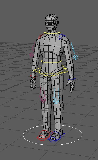 Eine humanoide Schaufensterpuppe in Maya mit IK-Steuerungen.