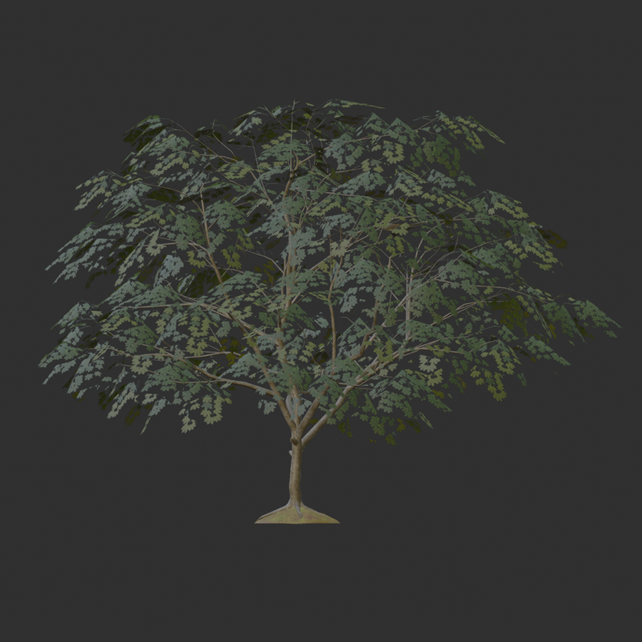 A tree mesh object with the leaves texture applied.